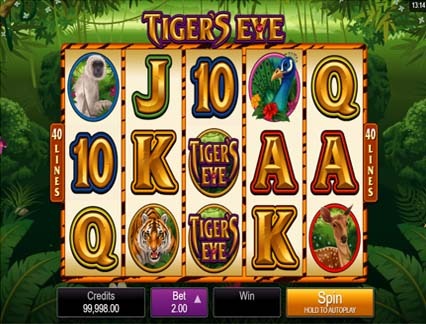 tiger's eye slot game