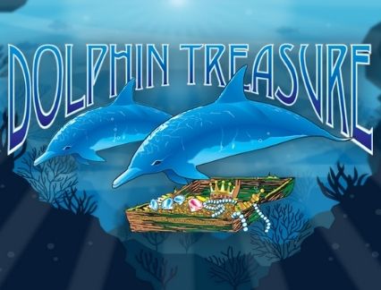Dolphin Treasure Cover