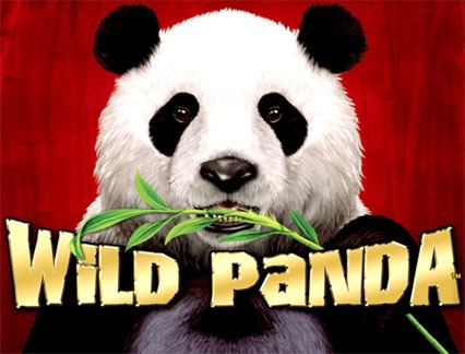 wild panda slot game