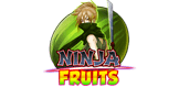 Ninja Fruits pokie