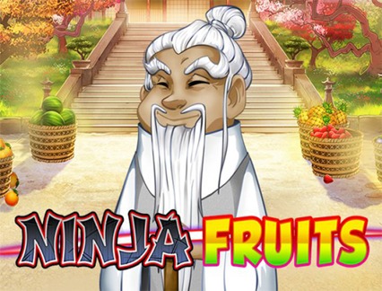 Ninja Fruit slot game