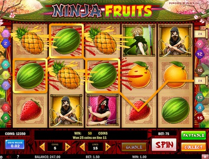 Ninja Fruit pokie win