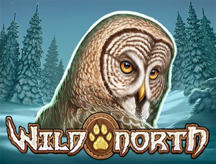 Wild North slot game