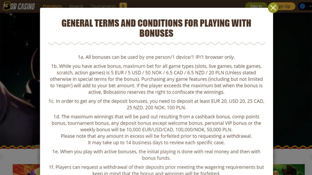 Free Spins bonus terms and conditions example